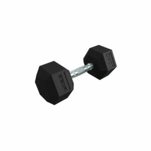 Bear Fitness Hex dumbbell