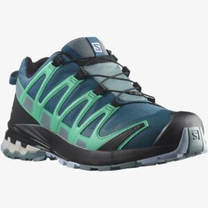 Salomon XA Pro 3D v8 W GTX