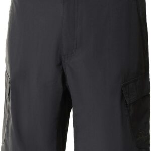 The North Face Men's Horizon shorts