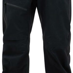 Peak Performance Men's Alpine GTX Pant