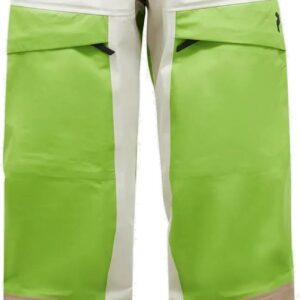 Peak Performance Men's Gravity GTX 3L Pants