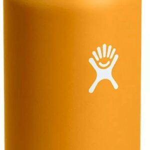 Hydro Flask 21 Oz Standard Flex Straw Cap