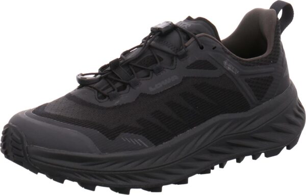 Lowa Men's Fortux GTX