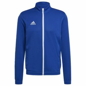 adidas Treenitakki Entrada 22 - Sininen